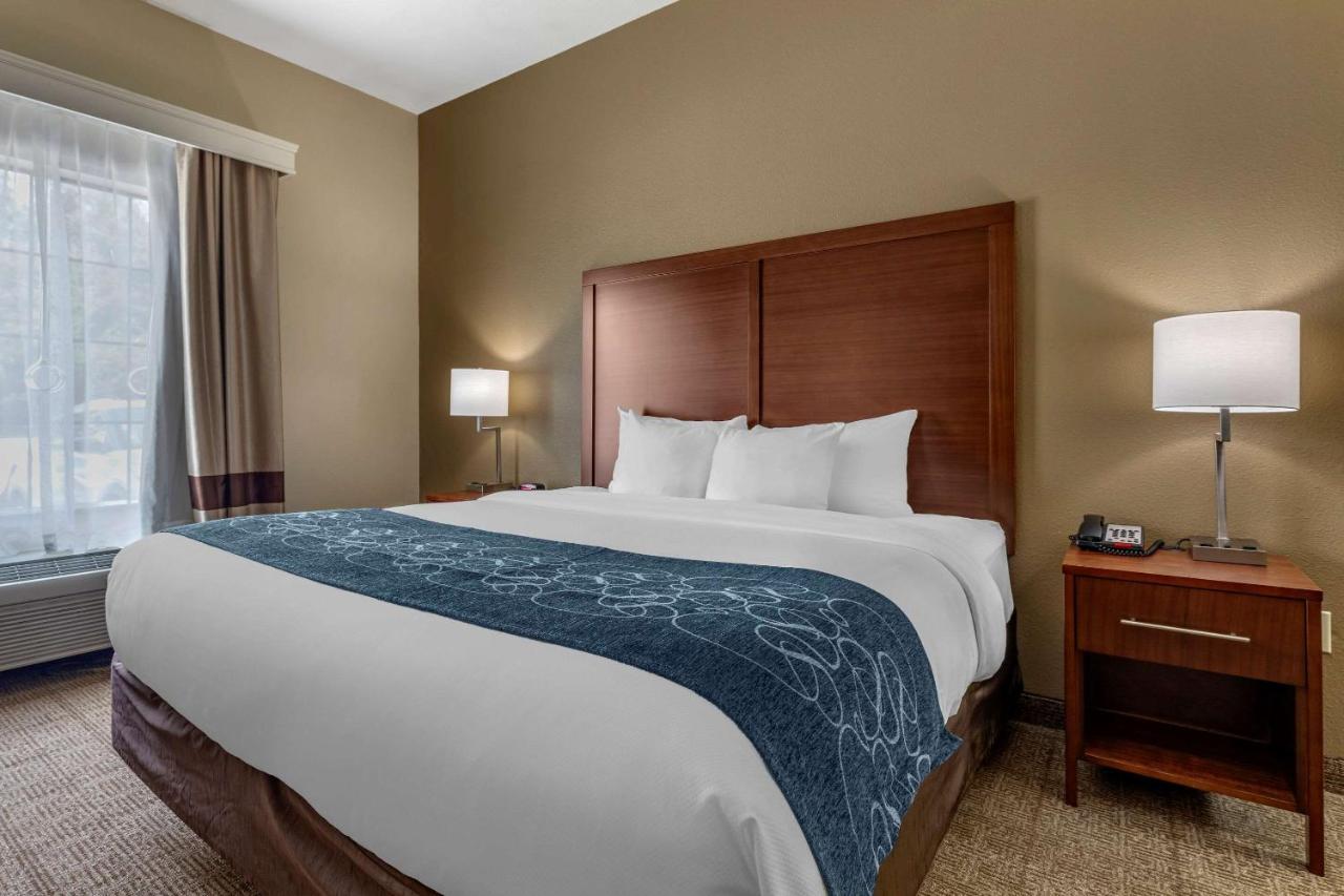 Comfort Inn & Suites Пэрис Экстерьер фото
